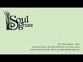 DEBRA LYN: LIVE WITH SOULGRASS 2002
