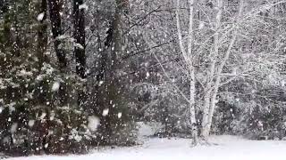 Musica Relaxante | Relax Music | Musica, Meditao e Prosperidade | #0085#