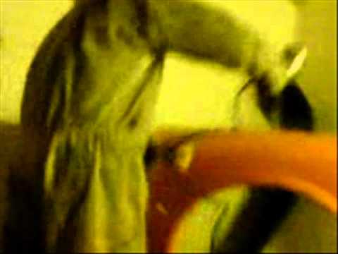 Autolakiererei Laubusch