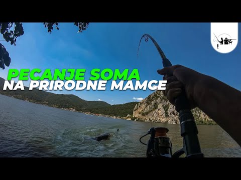 PECANJE SOMA ep.3 | PRIRODNI MAMCI I ČEKAJ