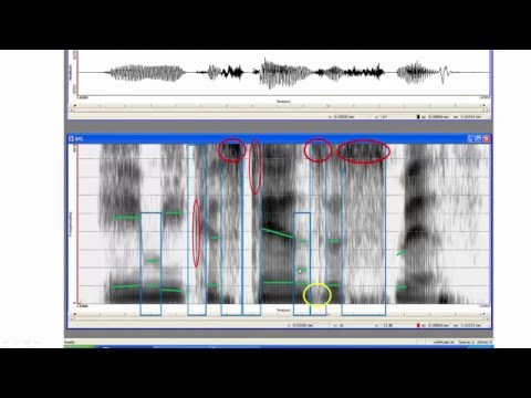 Step by step through a spectrogram