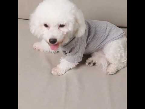 Кофта для кошек «Кружево», розовый - фото 2 - id-p2662633244