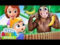 Trip To The Zoo Song Fun Animal Sing Along Songs By Little Angel Animals