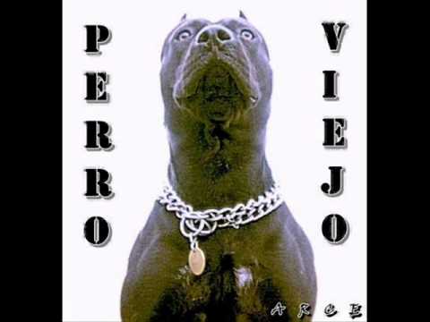 07-ARCE-ONE LOVE-PERRO VIEJO.