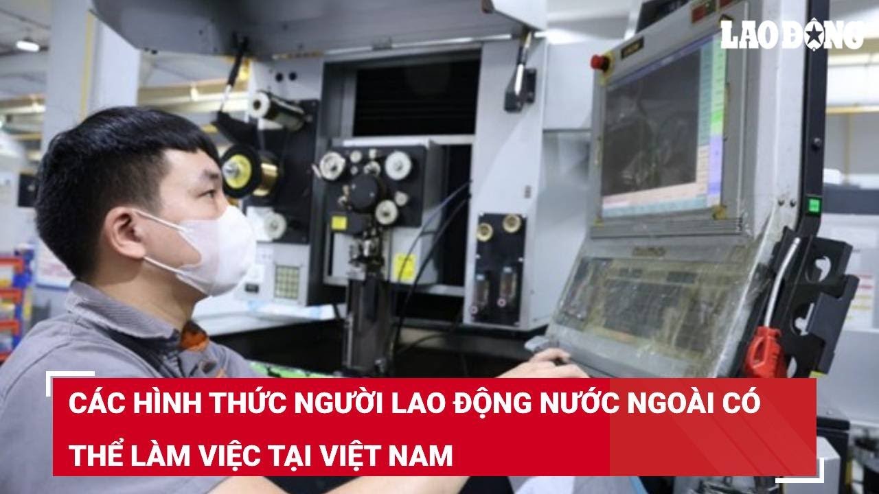 Các hình thức người lao động nước ngoài có thể làm việc tại Việt Nam