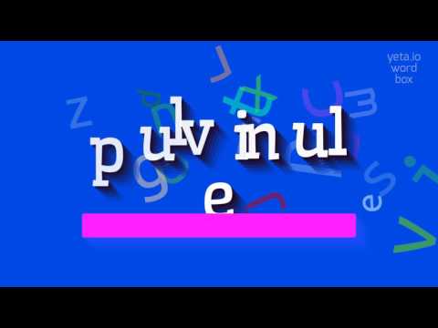 HOW TO PRONOUNCE PULVINULE?