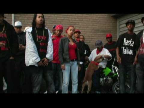 Blink & Raven ZuidZijde (Reel Pictures)