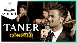 Taner / Gönüllü (Akustik)