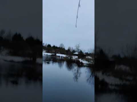 tussågaard Flex!