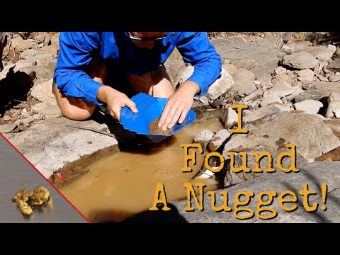 Finding GOLD Using The GOLD MONSTER 1000 - I Found A GOLD NUGGET!