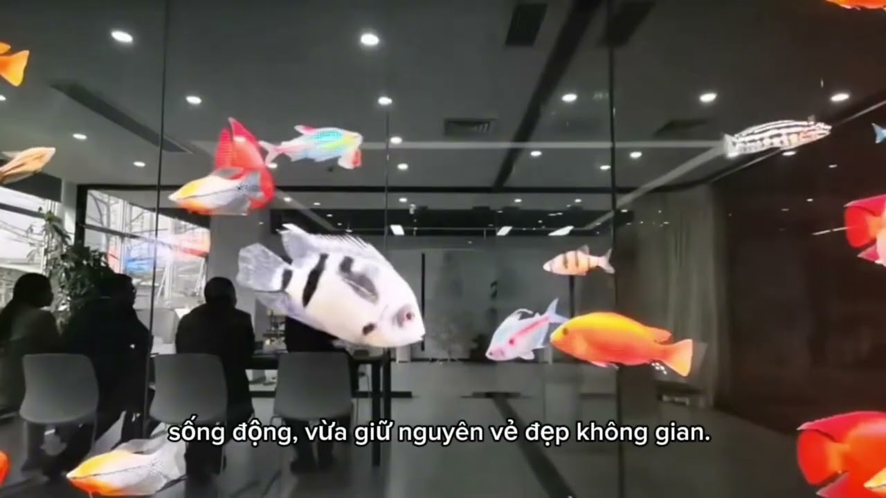 Màn hình led trong suốt