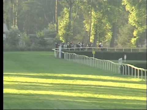 LL, 6. 7. 2015, 8. dostih - HANDICAP SPOLEČNOSTI PILECKÝ