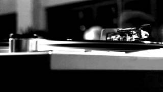 Donny Hoffa - Lights, Camera, Action