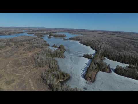 Snoopy lookin for the Red Baron