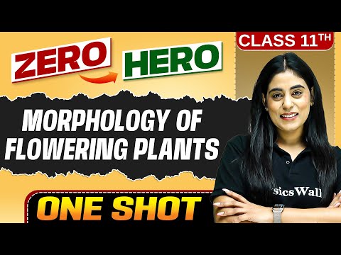 Morphology Of Flowering Plants | Full Chapter in ONE SHOT | Chapter 5 | Class 11 Biology 🔥