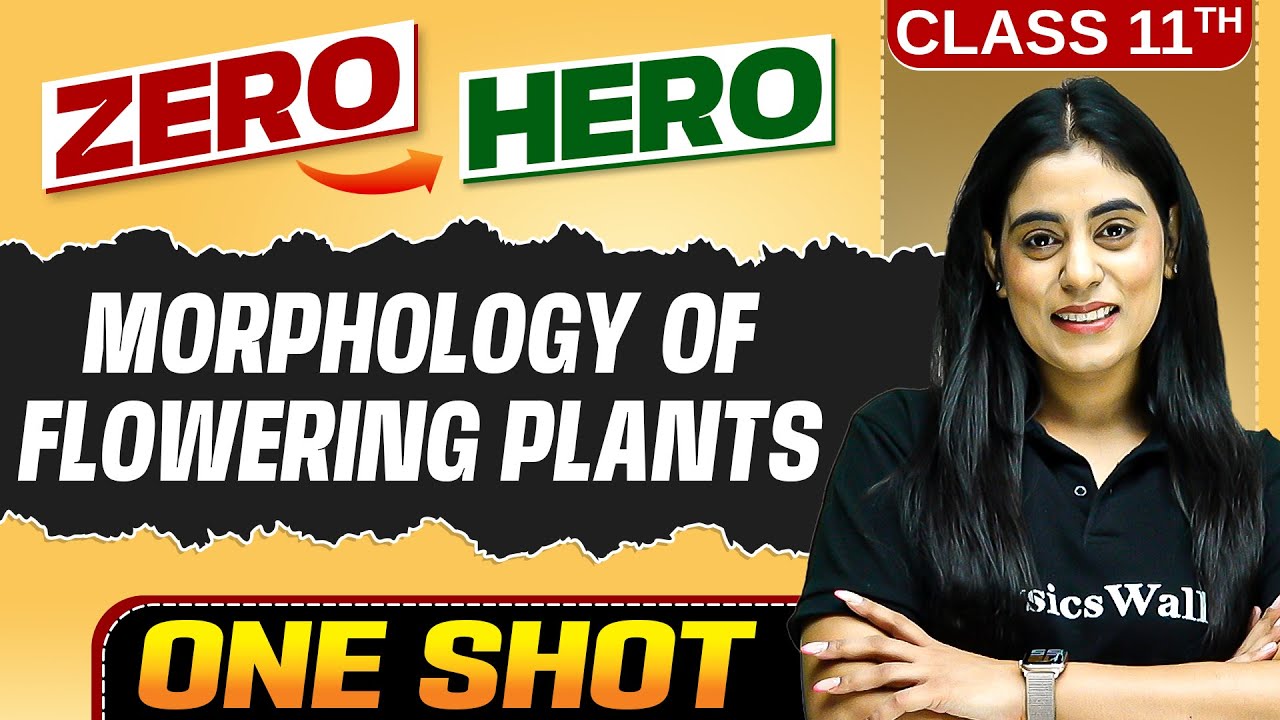 Morphology Of Flowering Plants | Full Chapter in ONE SHOT | Chapter 5 | Class 11 Biology 🔥