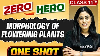 Morphology Of Flowering Plants | Full Chapter in ONE SHOT | Chapter 5 | Class 11 Biology 🔥