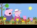 Peppa Pig Series 6 Episode 16 Strawberries Nick Jr US Error Airing