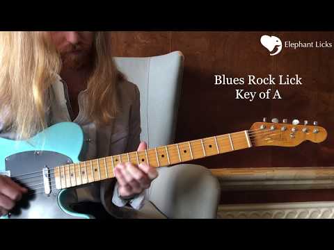 Blues Rock Warren Haynes Guitar Lick Lesson. Nicky V