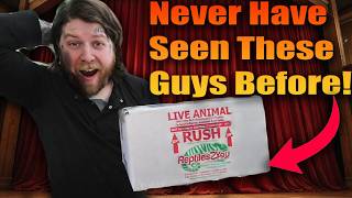 Unboxing The Rarest Lizards In My ENTIRE Collection!!!