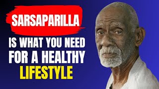10 Hidden Sarsaparilla Benefits You Never Knew (Why Dr. Sebi Loved This Detox Herb)