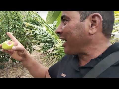 Sítio 67hectares R$230,00 mil em Água boa distrito Santa Cruz MG norte minas gerais ZAP 38)999379597