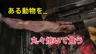 料理して焚き火で食う配信。