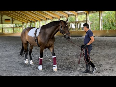 Dr. Cesar Parra - Behind the scenes of his methods