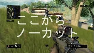 【BO4 blackout β版】part2 惜しいもう少しで（　＾ω＾）・・・