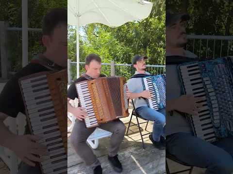 The Rose-Bud Of Allenvale - Alasdair Fraser #accordeon #montreal #music #cover #scottish