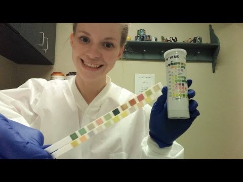 Urinalysis Lab Test & Urine Dipstick Test  Explained!