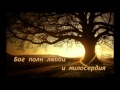 Бог не ошибается, фонограмма 