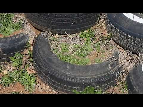 Earth-friendly house addressed (2010-03-30)