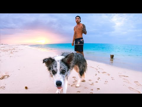 48 HOURS IN THE LIFE OF YBS Crazy Remote Trip With Sharks Everywhere (Sea Snake Encounter)  - Ep 159