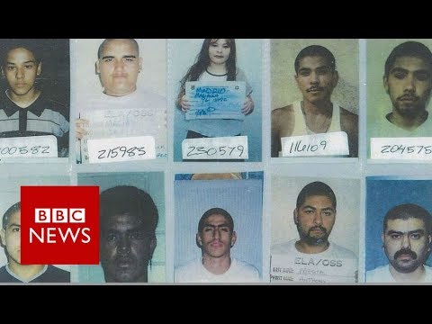 How US police line-ups jail the innocent - BBC News