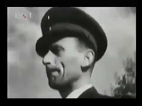 Evo zore evo dana evo Jure i Bobana, Dražen Zečić