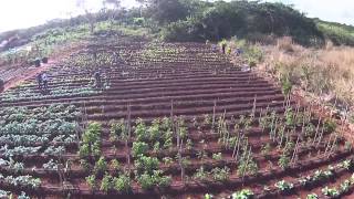 Ingenierías y Licencia en UT del Mayab