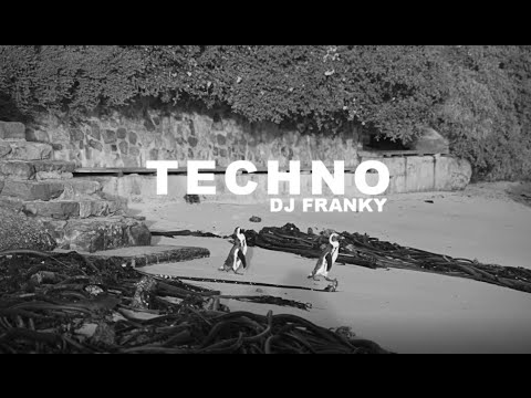 DJ Franky TECHNO  #djfranky #techno