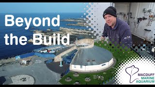 Removing our Old Quarantine System - Beyond the Build Vlogs