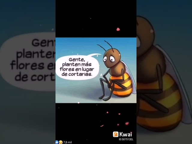 Video relacionado