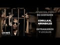 Tego Calderón - Los Mate - Letra - (Official)