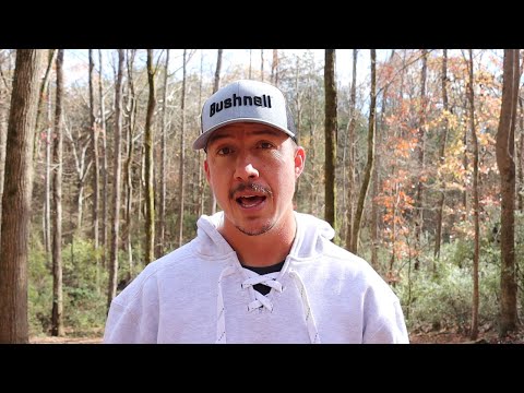 Episode #34 of Down The Fairway. Making sure you see as many results as possible early on.