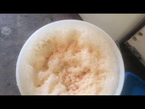 Blyth Spirit Brewery HBW#84