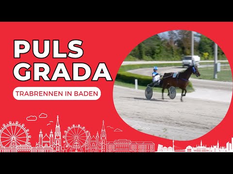 Trabrennen in Baden | PULS GRADA