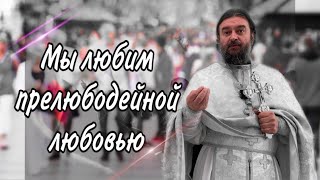 Не хорошо давать хлеб псам, забрав у детей. Протоиерей Андрей Ткачёв.