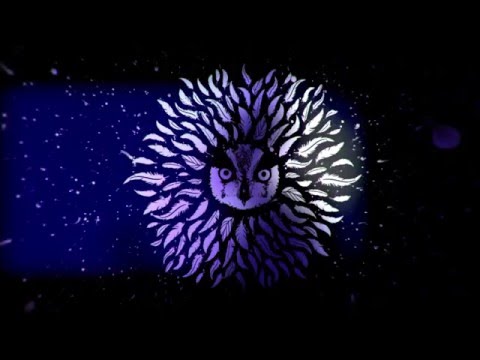 Appaloosa - Deltoid (Live "1 AN des Psychedelic Revolution" @ La Dynamo)