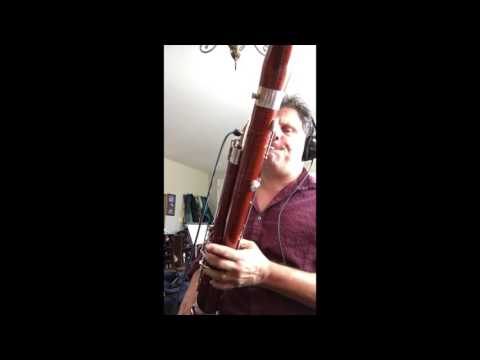 Paul Hanson Electric Bassoon-One Octave up & Adam Theis Realistic Orchestra