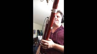 Paul Hanson Electric Bassoon-One Octave up & Adam Theis Realistic Orchestra