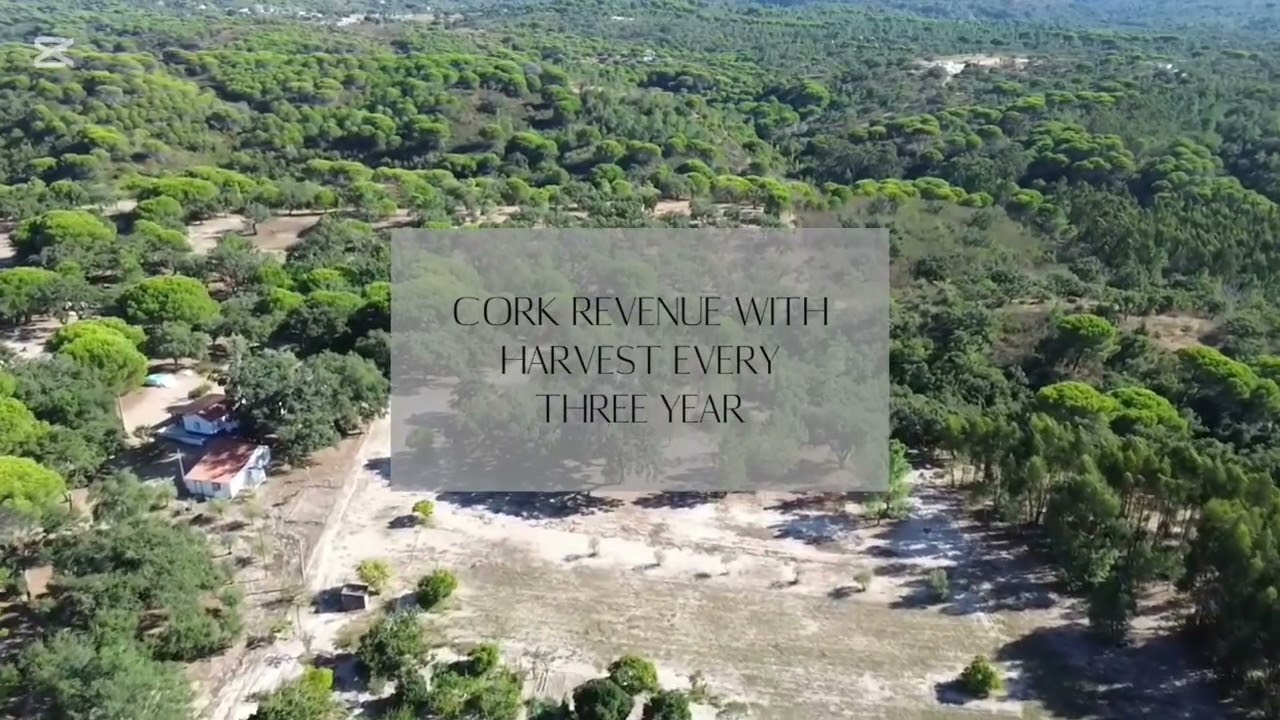 Vídeo do imóvel