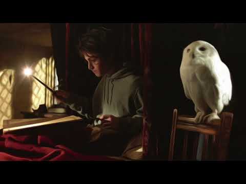 2 hours of Hedwig's Theme